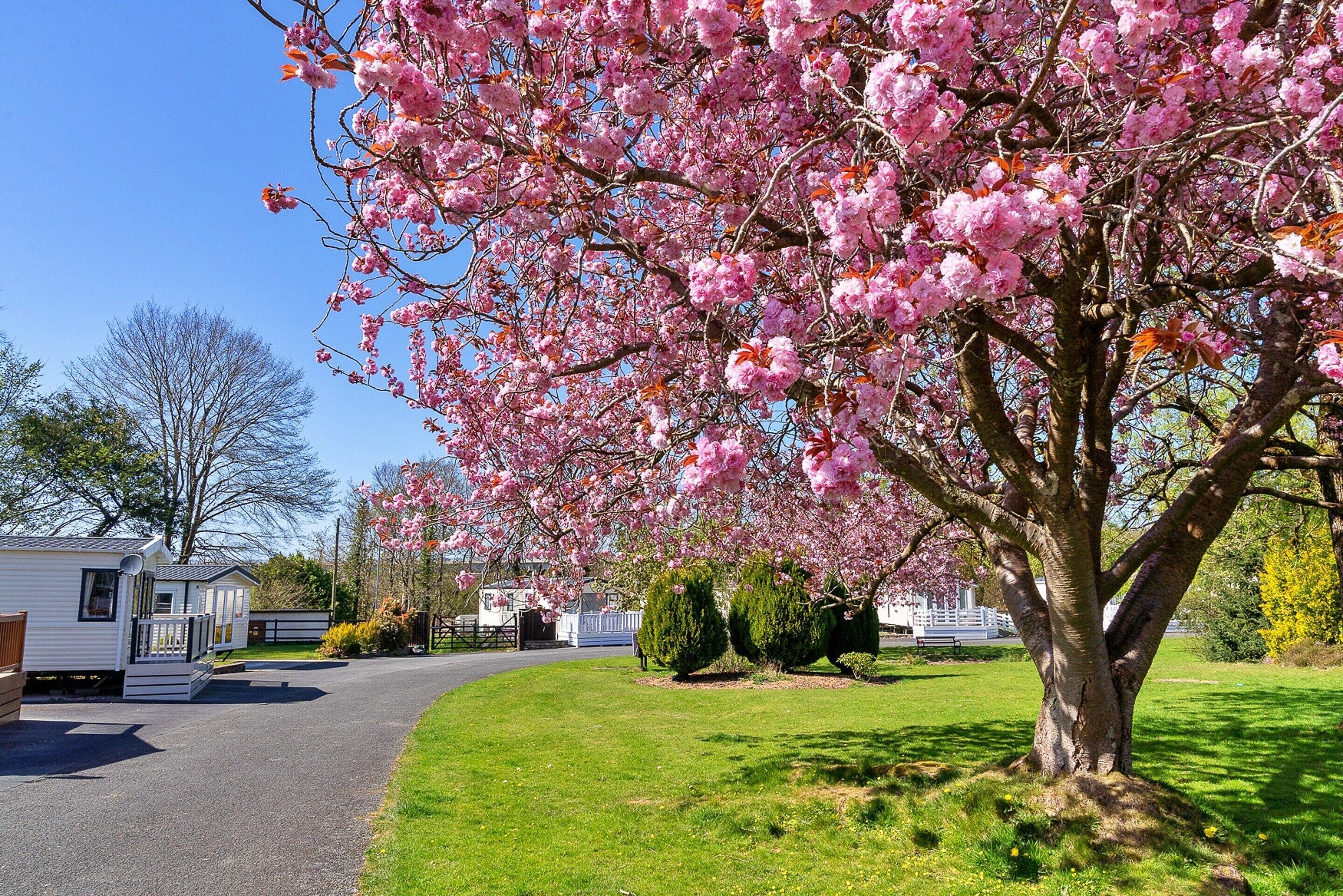 Nhà gỗ | Quang cảnh nhìn từ nơi lưu trú