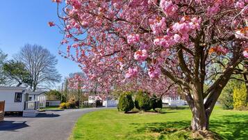 Nhà gỗ | Quang cảnh nhìn từ nơi lưu trú