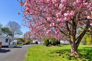 Chalet | Uitzicht vanuit accommodatie