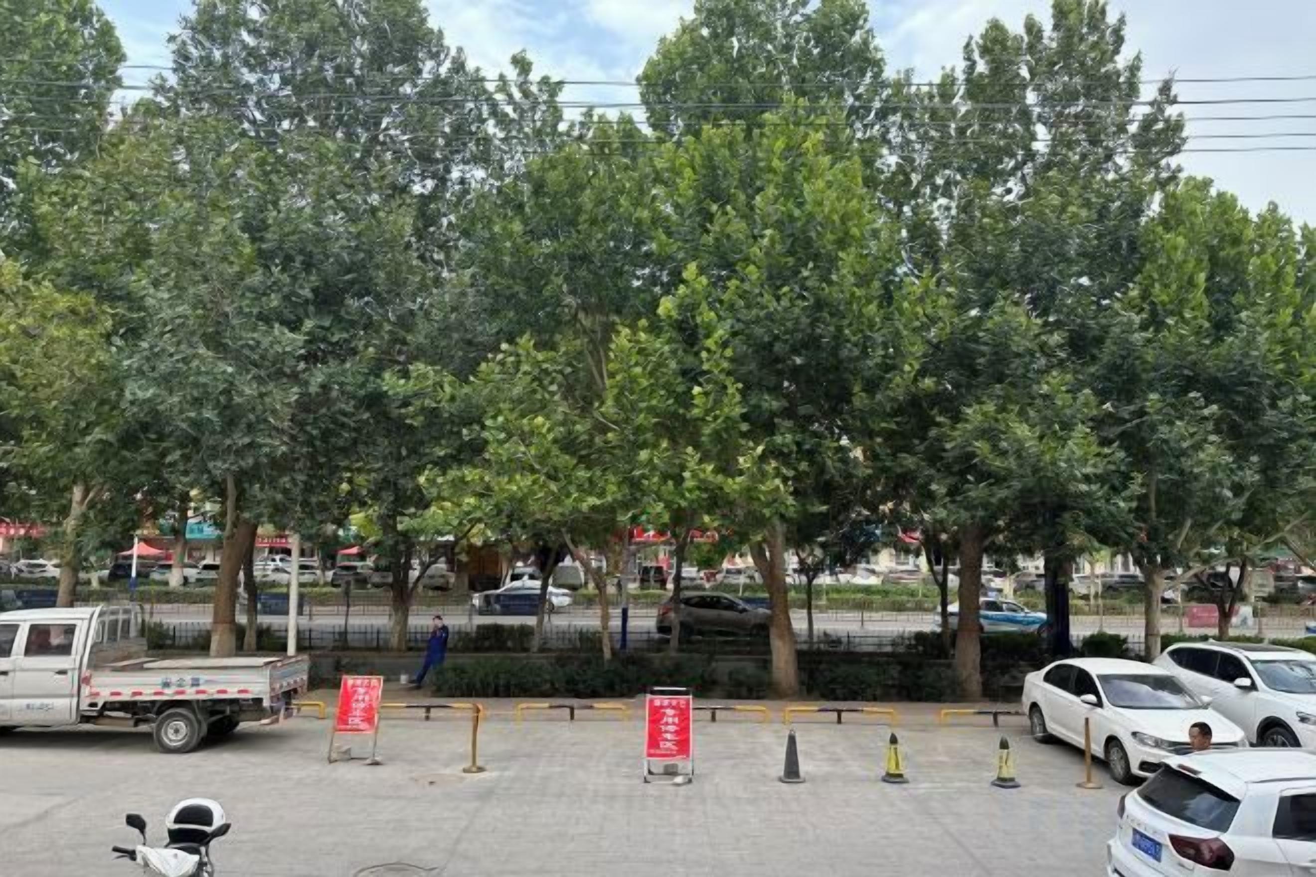 Un estacionamiento con árboles, una camioneta blanca y varios coches aparcados.