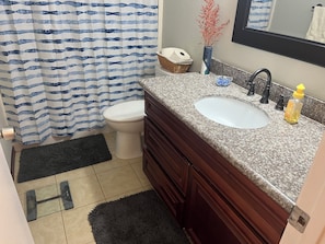 Hair dryer, towels, soap, shampoo