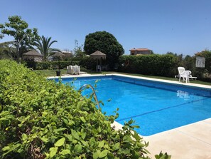 Ein Swimmingpool mit klarem, blauem Wasser, umgeben von Grünpflanzen und weißen Liegestühlen.
