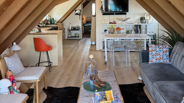 Smart TV, DVD player, books