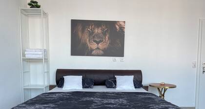 Spacious 5-bedroom apartment Kassel city center: Perfect for groups and families