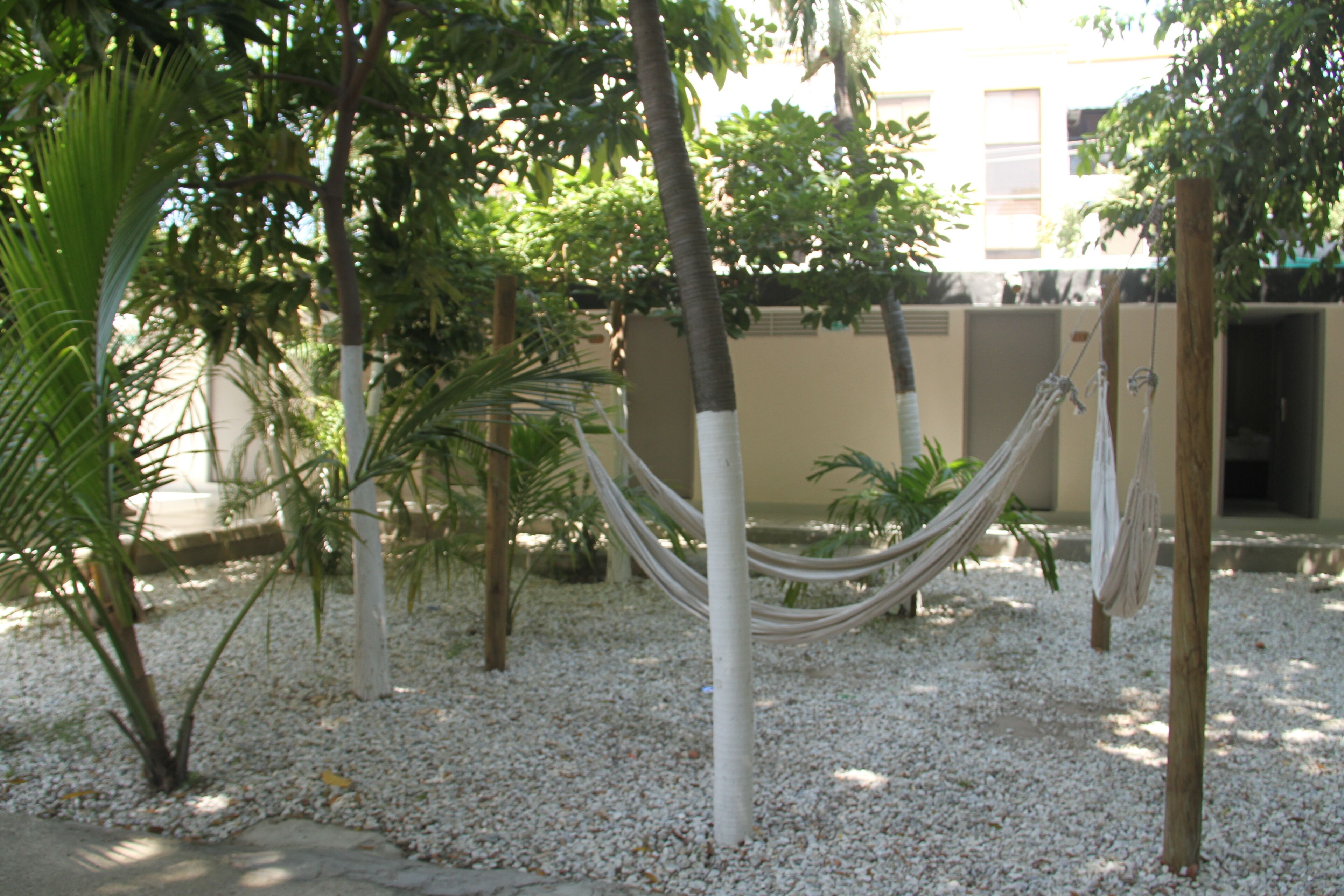 Foto - Hotel Rodadero Beach Blue
