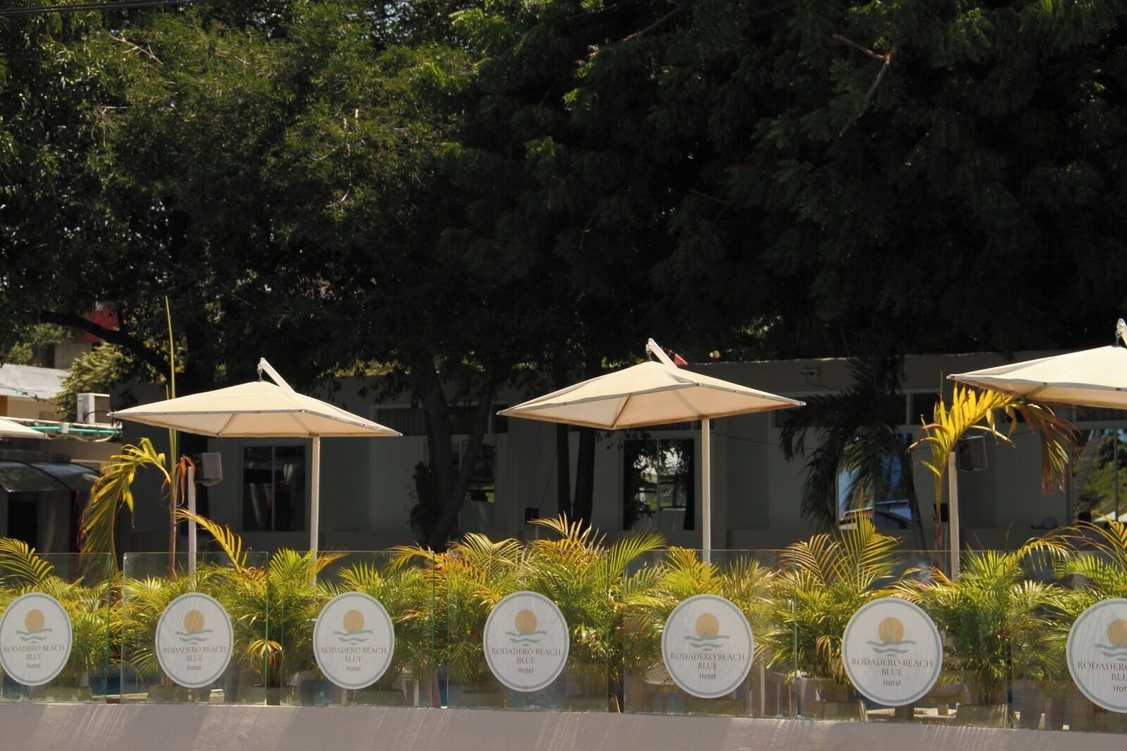 Foto - Hotel Rodadero Beach Blue