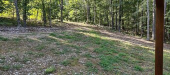Pine Ridge Cabin - A Cozy Getaway for Two near Jasper AR!