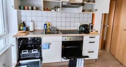 Three Rivers Oasis: your cozy apartment for up to 7 people