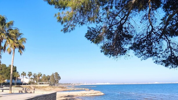 A coastal beach with a stone wall, palm trees, and a clear blue sky. - Láttic, Terres de lébre Biosphere Reserve (La Ràpita)