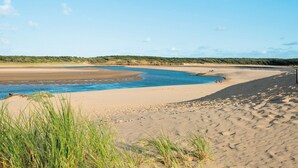 Une plage avec une eau d’un bleu limpide, un rivage sablonneux et une végétation verdoyante.