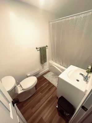 Hair dryer, towels, soap, shampoo