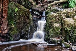 Miscellaneous - Romantic Hills Cottage w/ Fireplace (Kalorama)