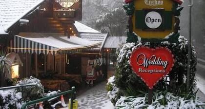 Romantic Hills Cottage w/ Fireplace