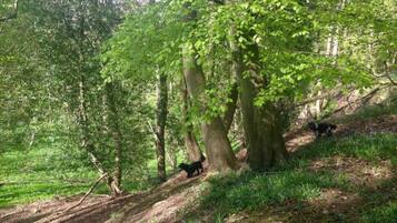 Chalet | Pemandangan dari properti