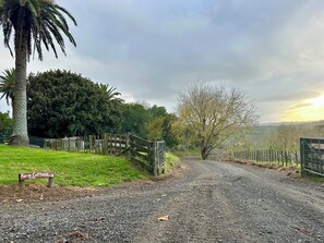 Miscellaneous - Forget your worries in our cosy farm cottage Spacious & relaxing with farm views (Ruawaro)