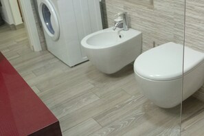 Shower, hair dryer, bidet, towels