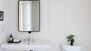 A bathroom with a white sink, a mirror, a toilet, and a potted plant.