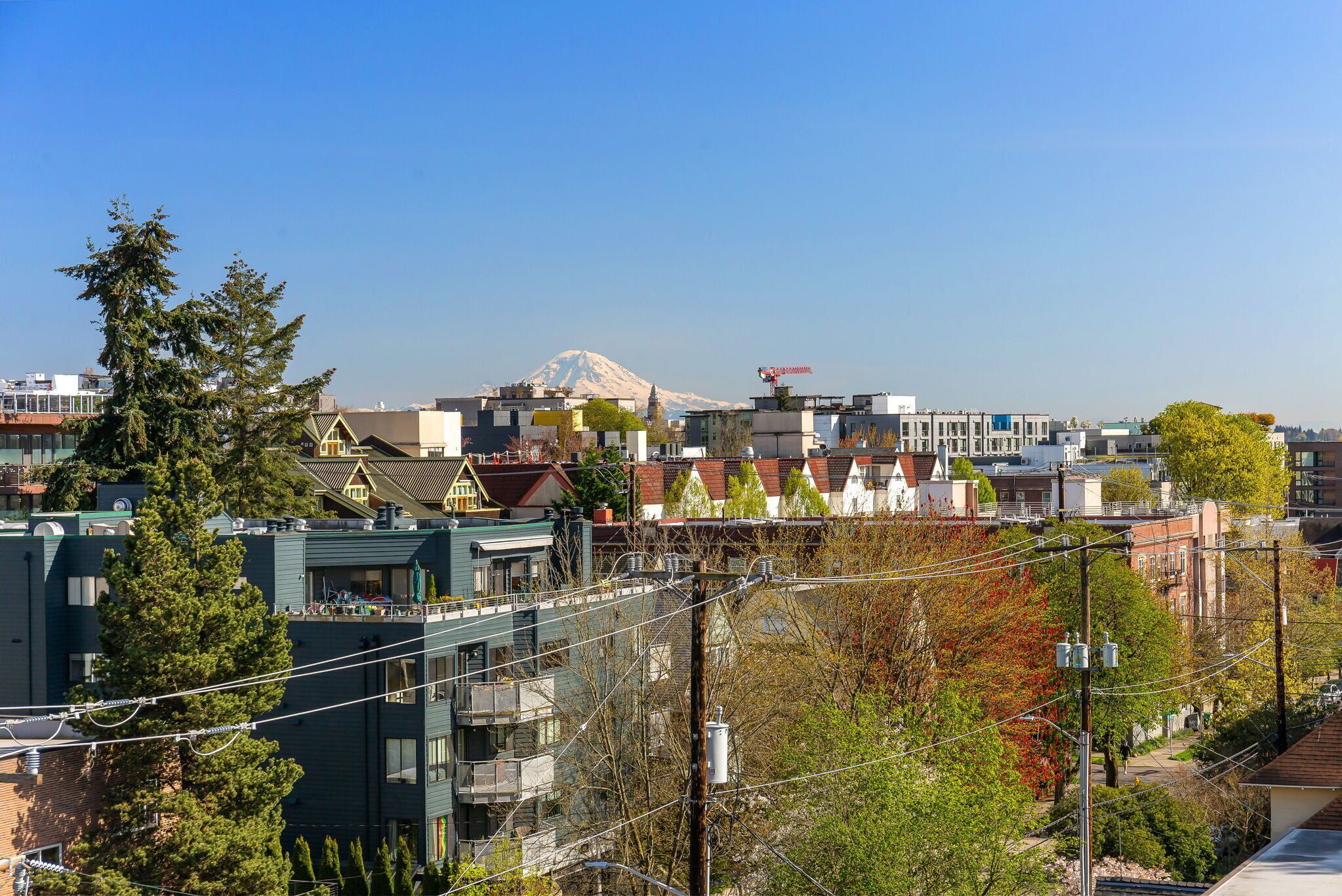 A residential area with a mix of modern and traditional architecture, including a prominent mountain in the background.
