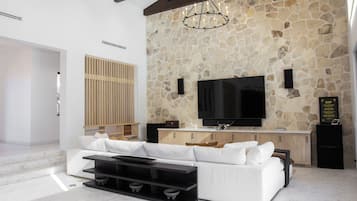 Smart TV, fireplace, stereo, computer monitors