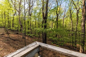 Exterior - 2-Bedroom cabin Hot tub Fireplace PS5 (Hedgesville)