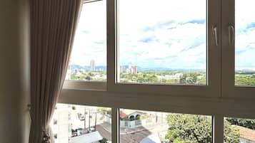 Deluxe Apartment, City View