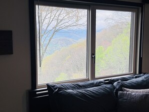 Interior - Dual Peaks Gem $1M Sharp Views /HOT TUB & WiFi (Tuckasegee)