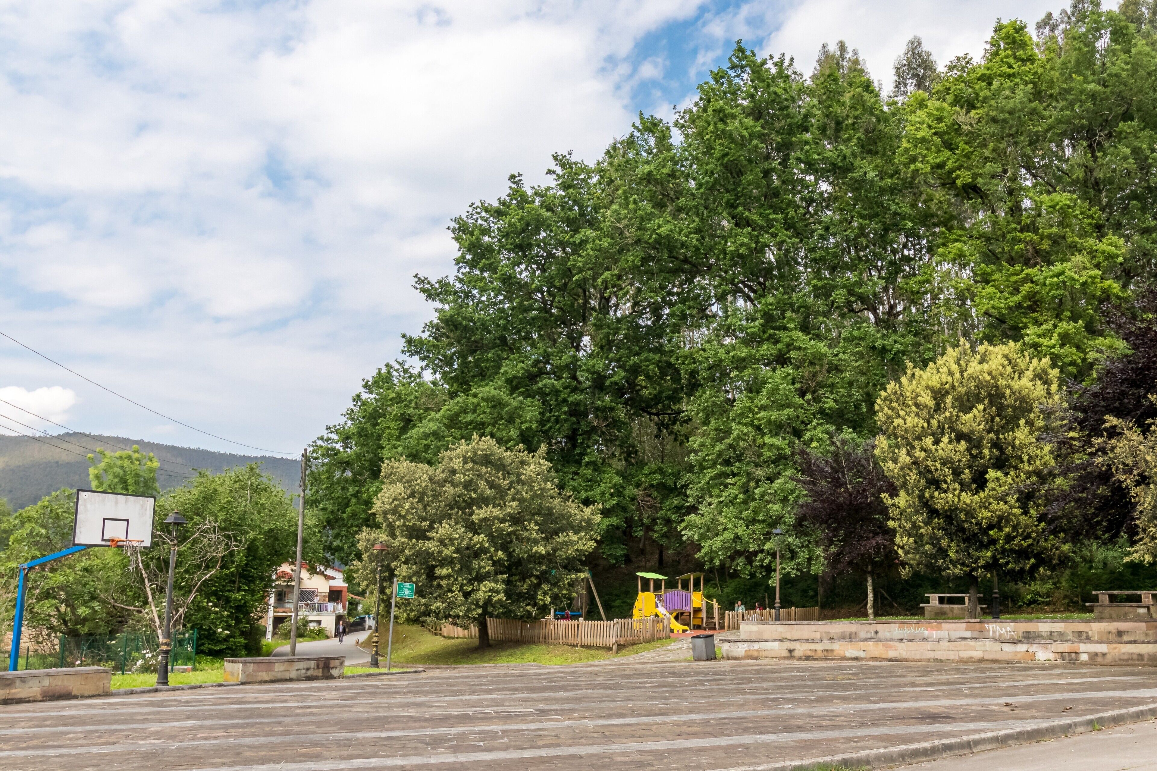 A basketball court, playground, and trees.