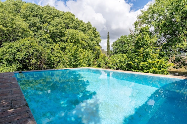 Une piscine rectangulaire à l’eau d’un bleu cristallin, entourée d’arbres verdoyants et bordée de briques.