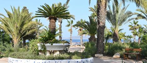 Área da propriedade