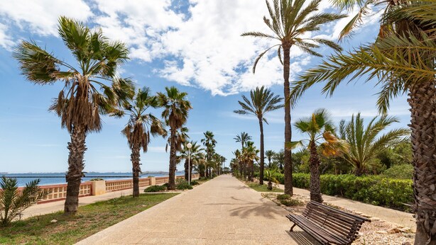 A paved walkway lined with palm trees and a bench, leading towards a body of water. - Villa 'Artep' with Shared Pool, Wi-Fi and Air Conditioning (Cartagena)