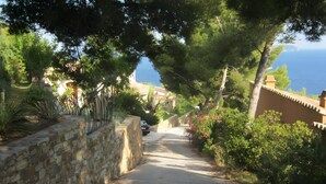 A narrow paved path flanked by stone walls and lush greenery, leading towards a coastal area.