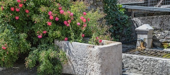 Maison de vacances 'Le Moulin De Bayard' avec vue sur la montagne, terrasse privée et Wi-Fi