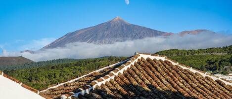 A mountain with a moon, a forested valley, and a tiled roof.