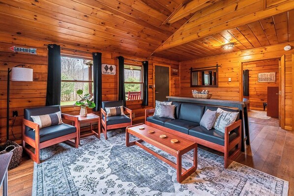 Smart TV, fireplace, video library