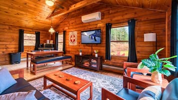 Smart TV, fireplace, video library