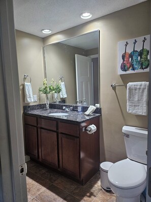 Hair dryer, towels, shampoo, toilet paper