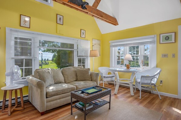 Smart TV, fireplace, books