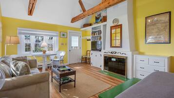 Smart TV, fireplace, books