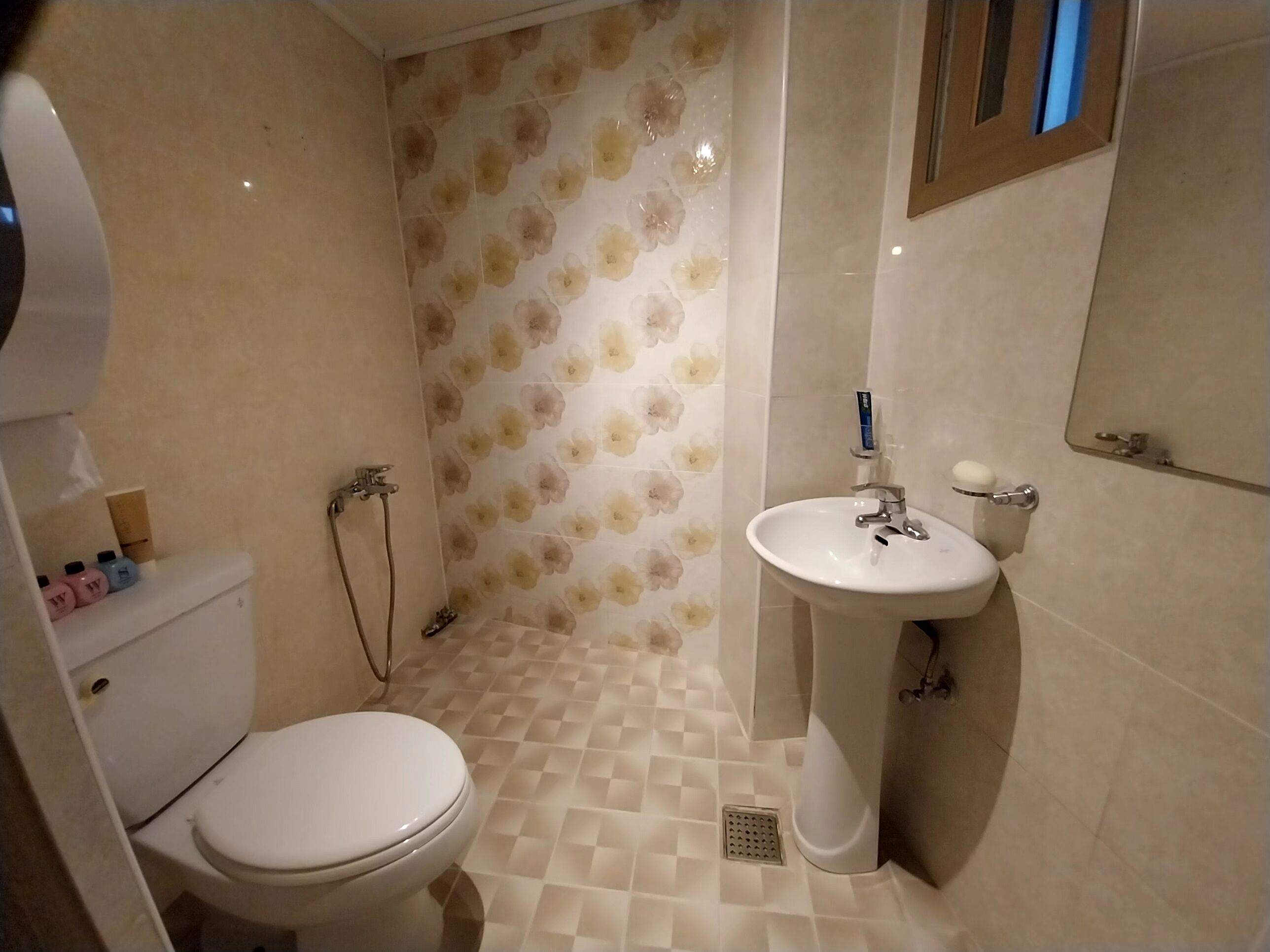 A bathroom with a toilet, a sink, and a shower.