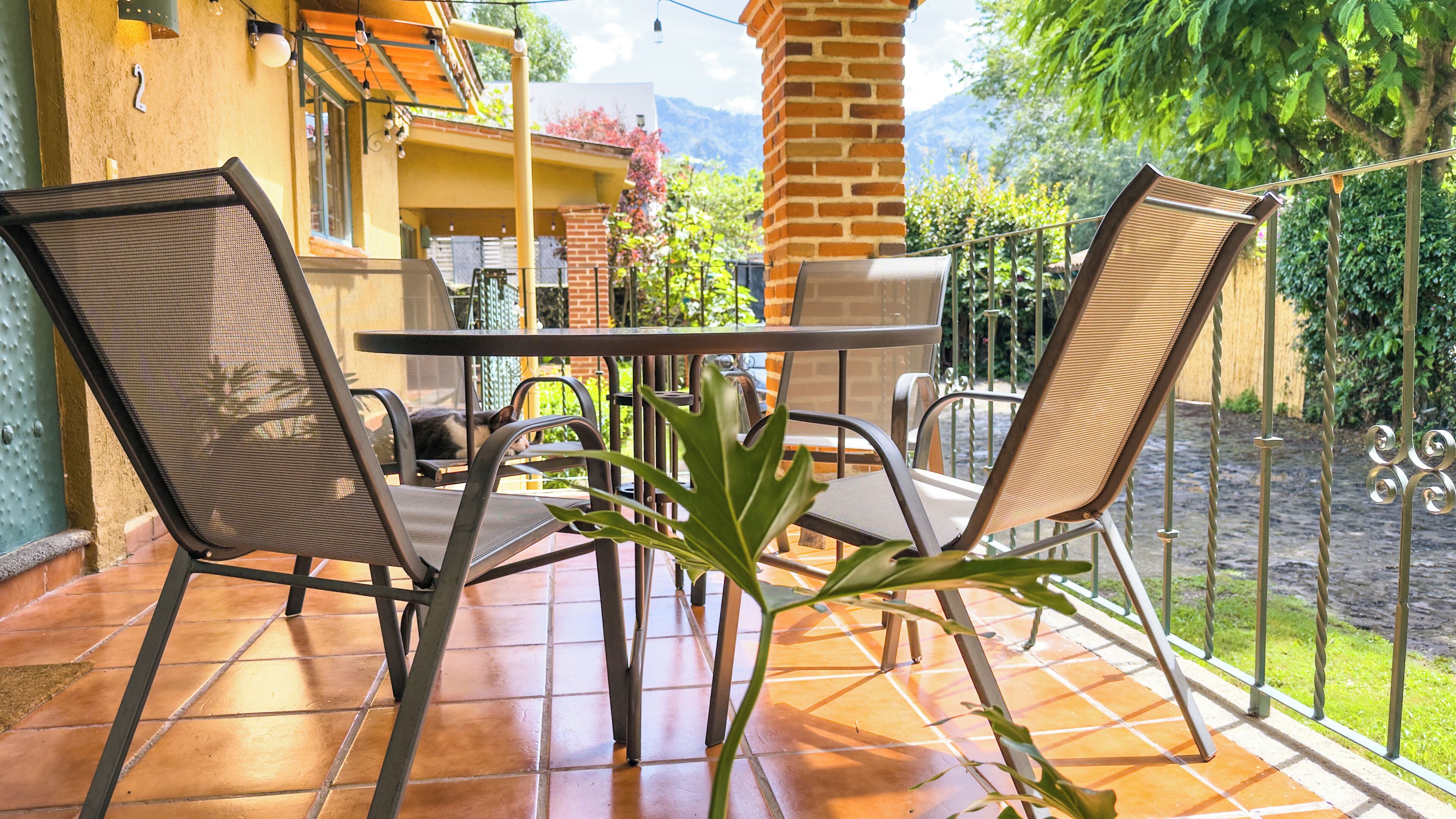 An outdoor patio with a table and chairs, a potted plant, and a view of a mountain.
