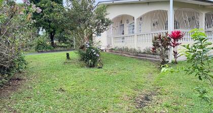 Natural Beauty in Alto Boquete