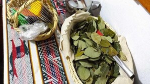 منطقة الاستقبال