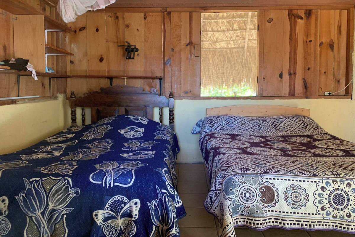 Basic Studio, Beach View | 1 bilik tidur, Wi-fi