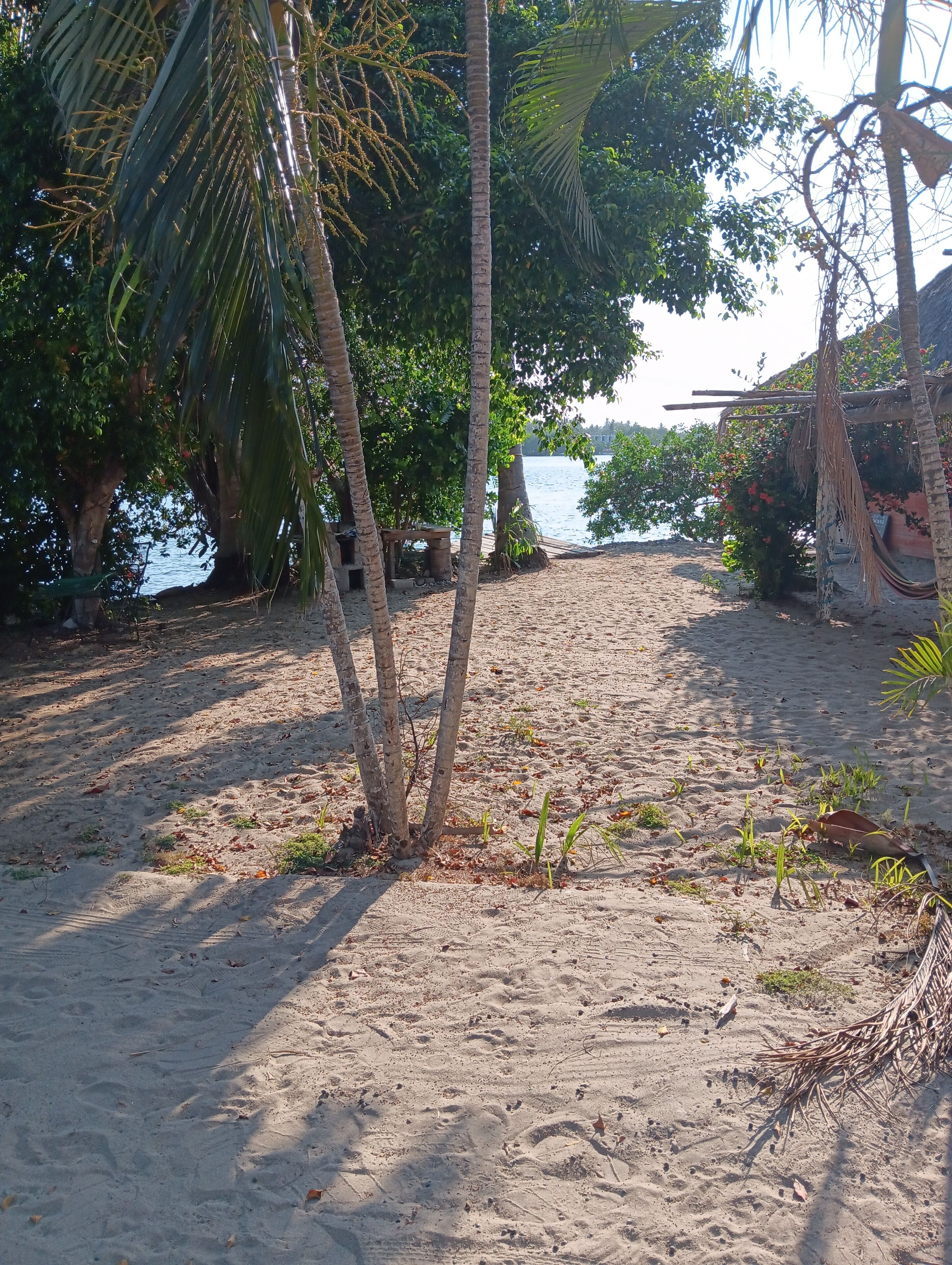 Deluxe-Apartment, Strandblick | Strand | Am Strand, weißer Sandstrand, 20 Strandbars