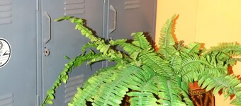 Casa Gran Chavin Huaraz