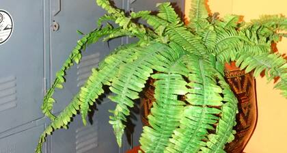 Casa Gran Chavin Huaraz