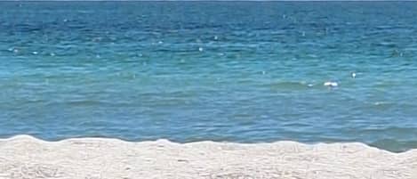Chaises longues, serviettes de plage
