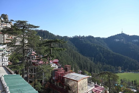 Vista aérea. The Cedar Bliss