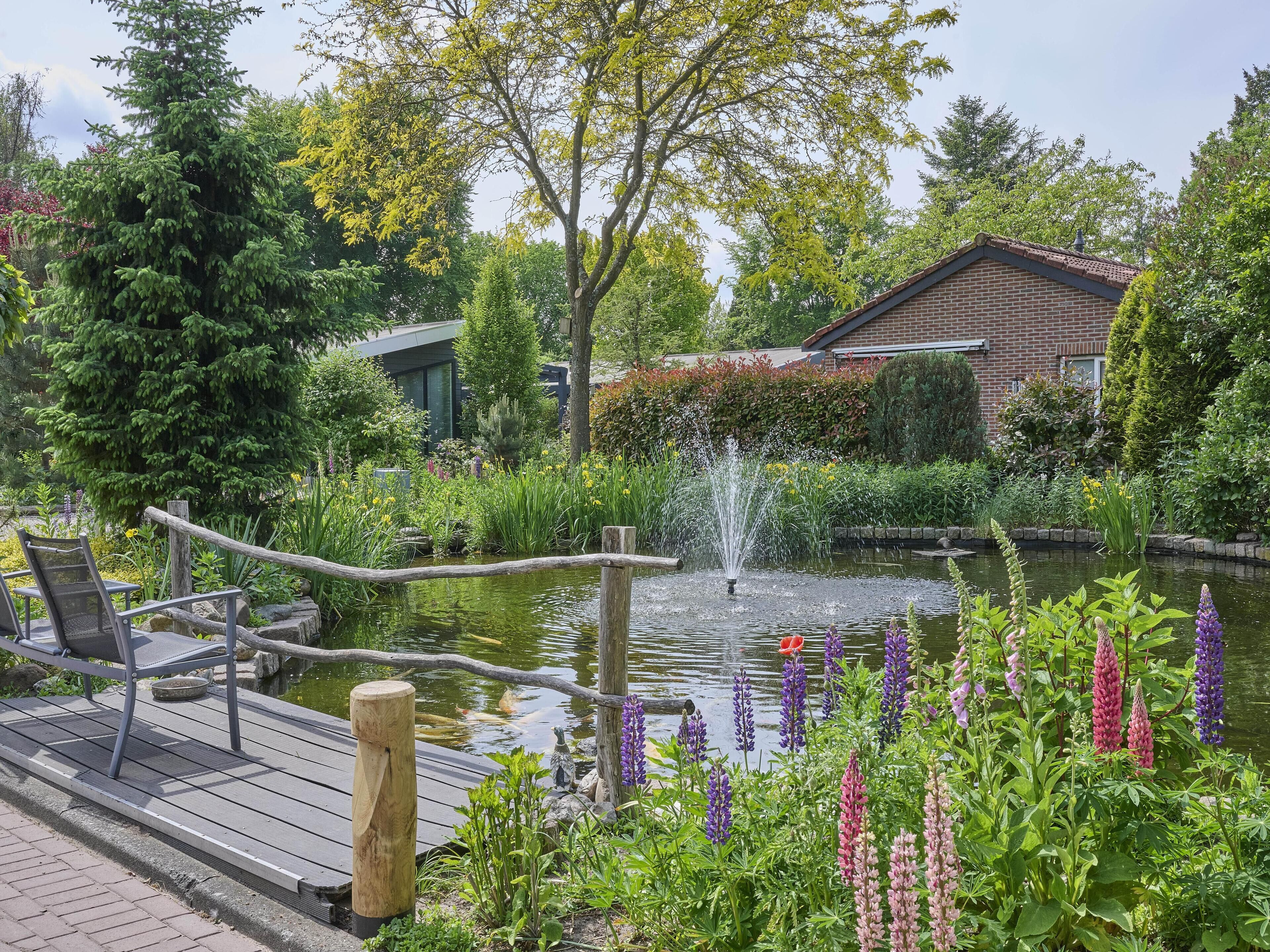 Terrein van de accommodatie