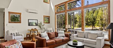 Télévision, cheminée, espaces bureaux